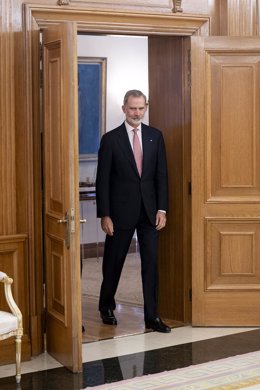 El rey Felipe VI durante una recepción