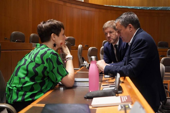 Los diputados del PSOE Marcel Iglesias, Fernando Sabés y Leticia Soria.