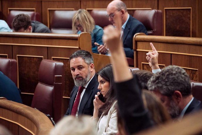 El presidente de VOX, Santiago Abascal, y la portavoz de VOX en el Congreso, Pepa Millán, durante un pleno en el Congreso de los Diputados, a 13 de junio de 2024, en Madrid (España).