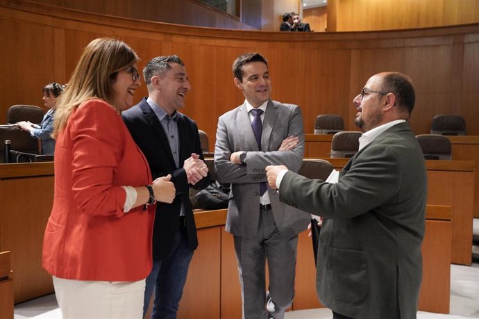 Los diputados Iván Carpi y Óscar Galeano (PSOE); Susana Gaspar (PP) y Alberto Izquierdo (PAR).