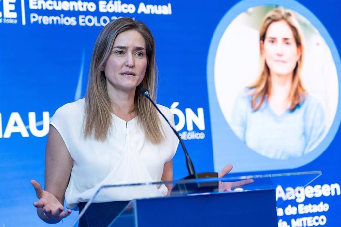 La secretaria de Estado de Energía, Sara Aagesen, en el encuentro Elócio Anual de AEE