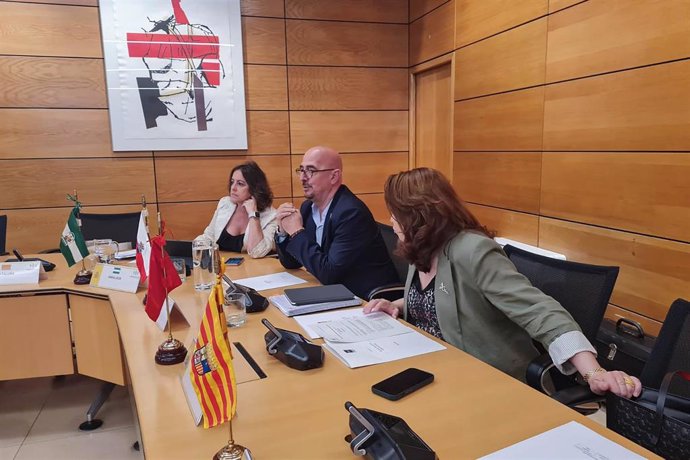 El Consejero De Salud, César Pascual, Participa En El Pleno Del Consejo Interterritorial Del Sistema Nacional De Salud.