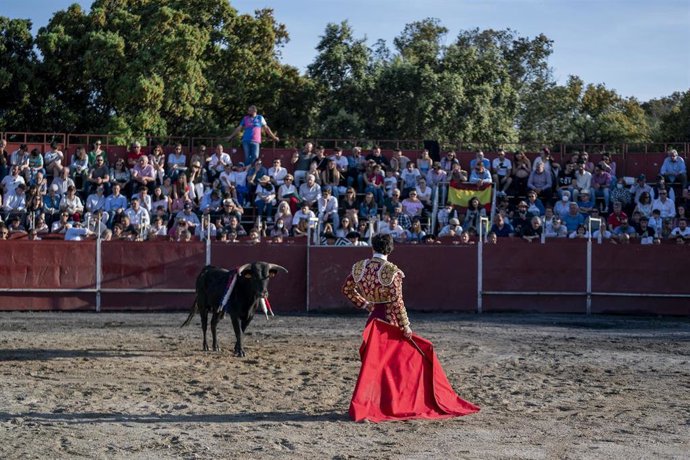 Archivo - Novillada sin picadores