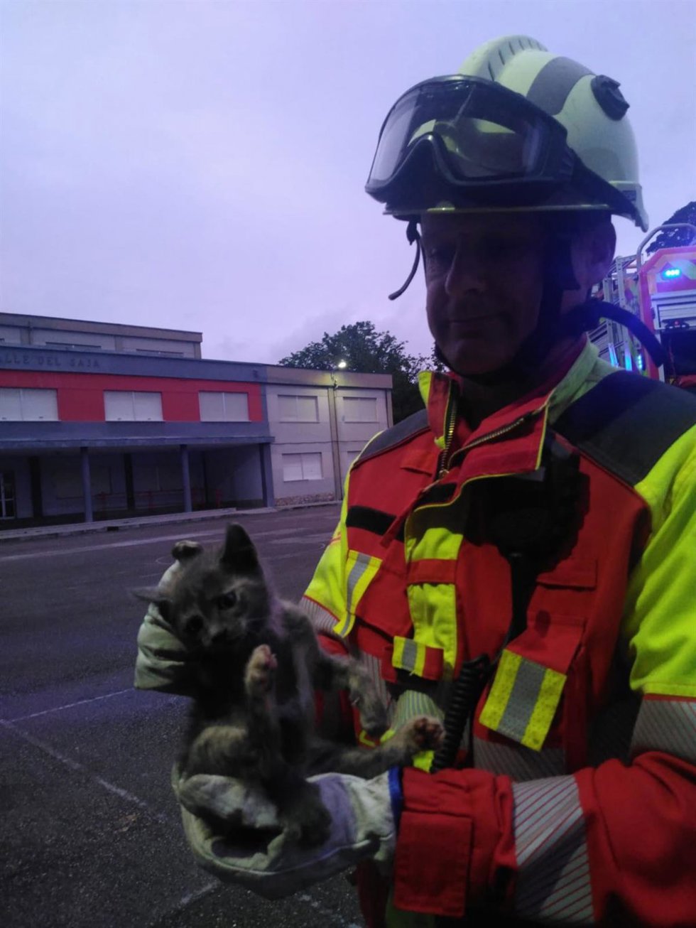 Gato rescatado por los bomberos del 112 tras quedar atrapado en la rueda de un coche