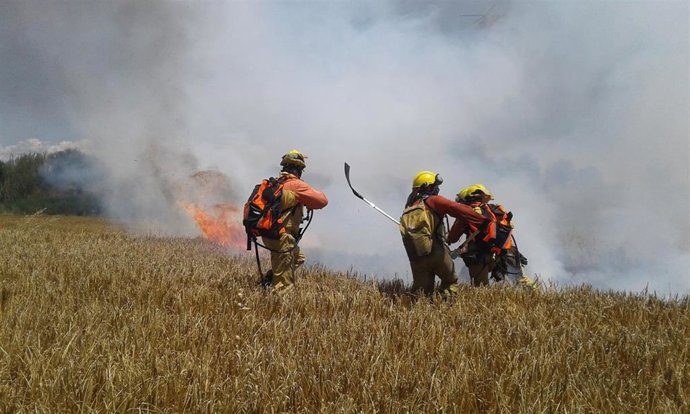 Uno de los simulacros realizados por el dispositivo de INFOAR.