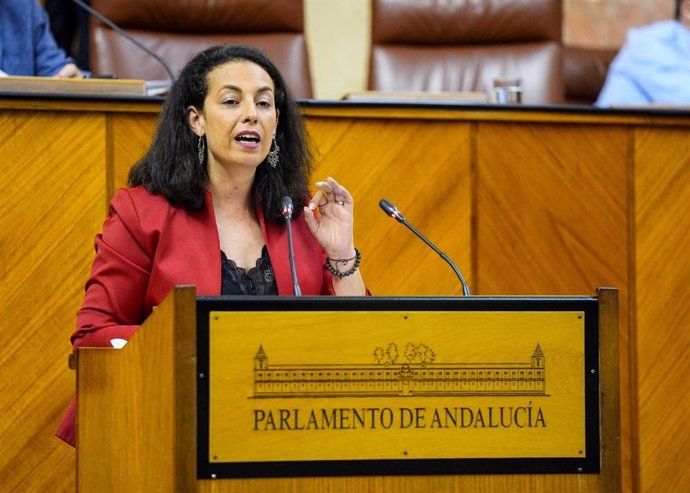 La secretaria de Igualdad del PSOE-A, Mercedes Gámez, en una imagen de archivo en el Pleno del Parlamento de Andalucía.