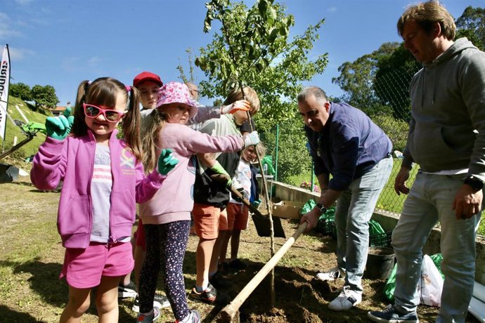 Reforestación en el acceso a una cueva en Reocín