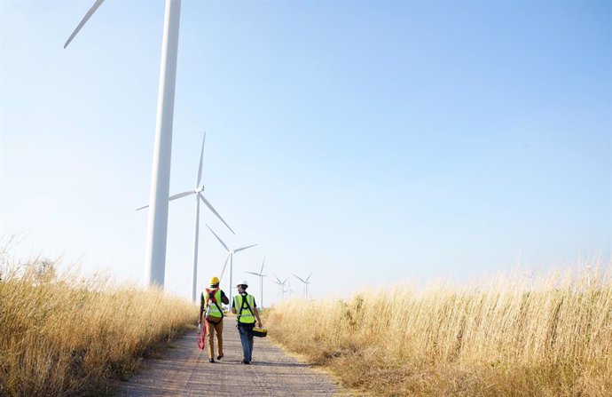 Archivo - Wide perspective of wind turbine engineers walking with coworker in wind farms