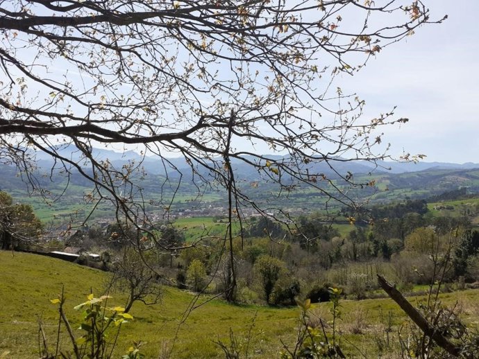 Castañéu, en Grado