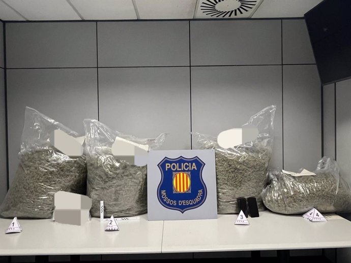 Sacos de marihuana requisados por los Mossos d'Esquadra