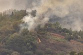 Foto: Analizan el impacto del humo de los incendios forestales en la salud