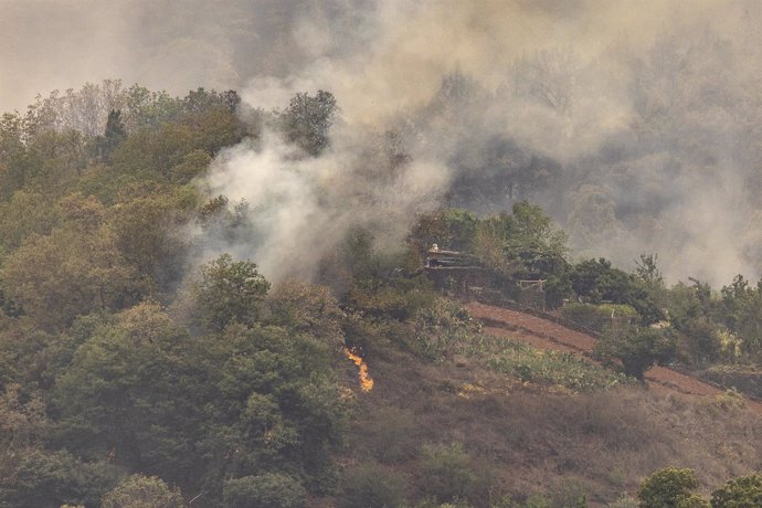 Archivo - El incendio forestal, a 19 de agosto de 2023, en La Orotava, Tenerife, Islas Canarias (España). La situación del incendio forestal que comenzó en la noche del 15 de agosto en el monte de Arafo, en la isla de Tenerife, se ha complicado en la zona