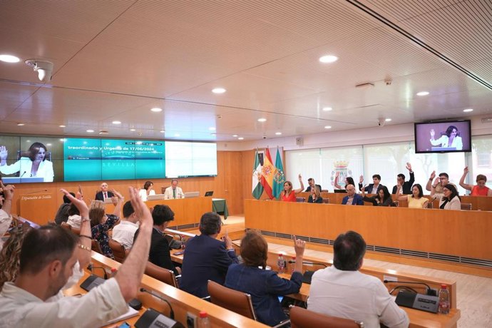 Pleno extraordinario de la Diputación para debatir el programa de prevención de exlcusión social mediante el empleo temporal.