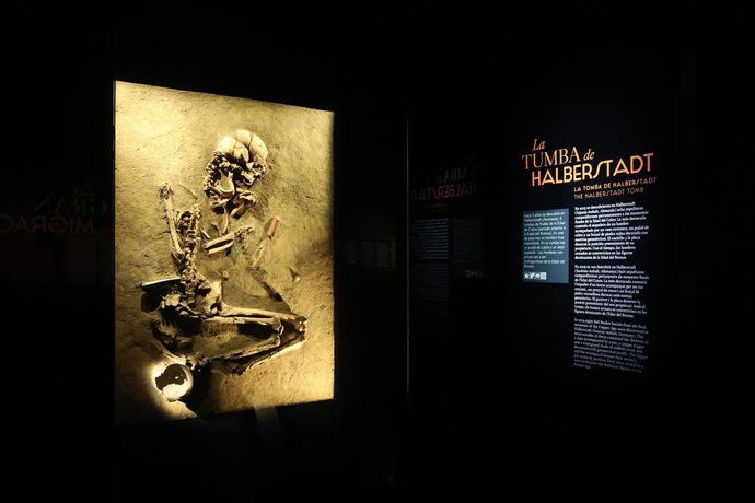 Archivo - Exposición 'Dinastías. Los primeros reinos de la Europa prehistórica' del MARQ