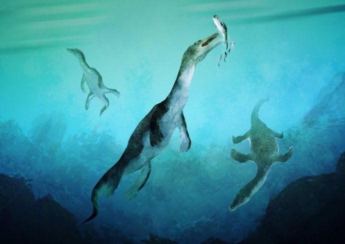 Reconstrucción del reptil marino más antiguo del hemisferio sur. Notosaurios nadando a lo largo de la antigua costa polar sur de lo que hoy es Nueva Zelanda hace unos 246 millones de años.