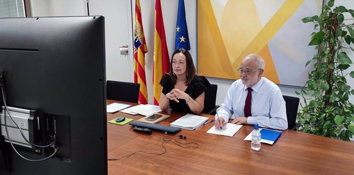 La consejera de Bienestar Social y Familia del Gobierno de Aragón, Carmen Susín, ha participado en el Consejo Territorial de Servicios Sociales y del Sistema para la Autonomía y Atención a la Dependencia de forma telemática.