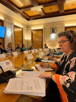 La consellera de Familias y Asuntos Sociales, Catalina Cirer, en la reunión ordinaria del Consejo Territorial de Servicios Sociales y del Sistema para la Autonomía y Atención a la Dependencia (SAAD)