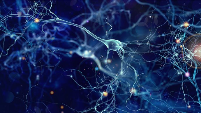 Archivo - Neuronas, enfermedades neurodegenerativas