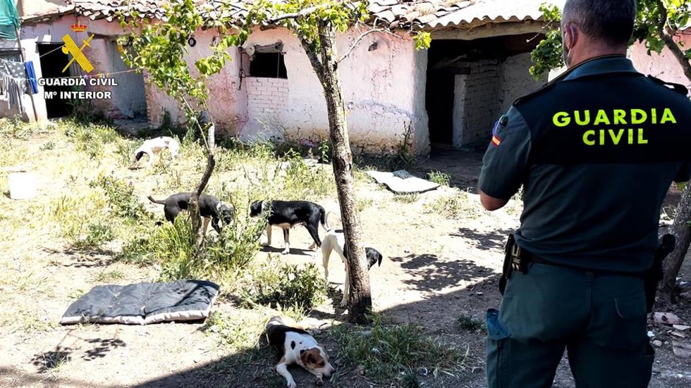 Archivo - La Guardia Civil en uno de los registros a la supuesta protectora