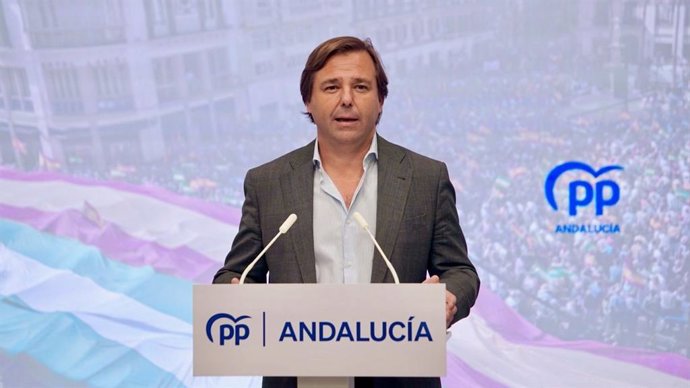 El secretario general del PP andaluz, Antonio Repullo, este martes