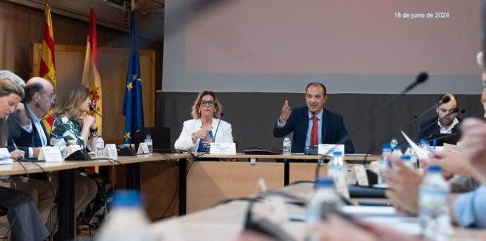 El consejero de Sanidad del Gobierno de Aragón, José Luis Bancalero, preside el Pleno del Consejo de Salud de Aragón.