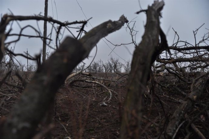 Archivo - Trincheras en la región ucraniana de Donetsk