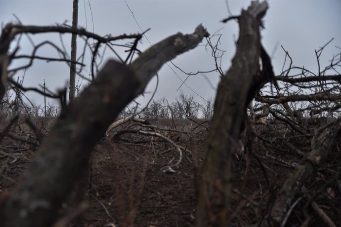 Archivo - March 7, 2024, Kyiv, Donetsk Oblast, Ukraine: Russian enemy trenches sit in a treeline 100 meters away. Russian infantry positions are 100m away from Ukrainian lines.,Image: 854738321, License: Rights-managed, Restrictions: , Model Release: no, 