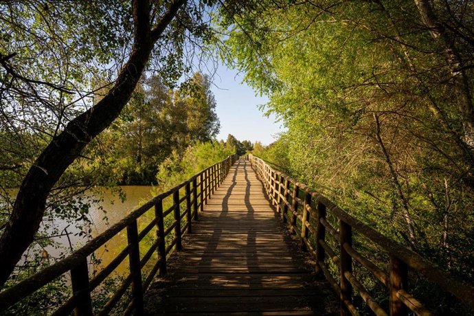 Archivo - Sendero y zonas de recreo creadas en el Corredor verde del río Guadiamar, que abarca a varios municipios de la provincia de Sevilla.