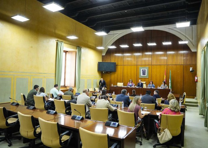 Reunión de la Comisión de Presidencia, Interior, Diálogo Social y Simplificación Administrativa del Parlamento andaluz.