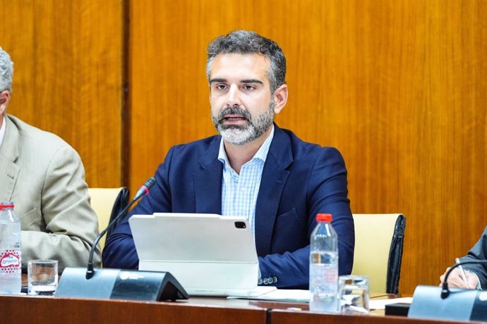 El consejero de Sostenibilidad y suplente de Agricultura, Ramón Fernández-Pacheco, este martes durante su comparecencia en comisión.