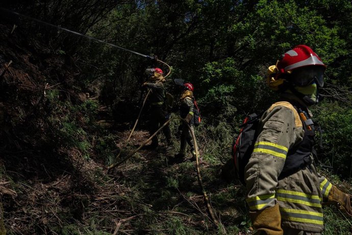 Archivo - Agentes de los equipos de bomberos trabajan en el lugar del incendio, a 16 de abril de 2024, en Crecentes, Pontevedra, Galicia (España). 