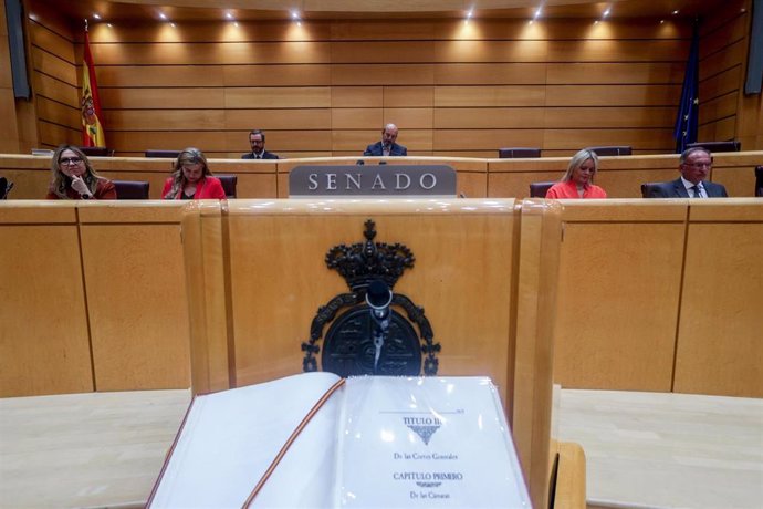 La Constitución durante una sesión plenaria, en el Senado, a 18 de junio de 2024, en Madrid (España). El principal tema que ha tratado el pleno ha sido la certificación de productos sanitarios.