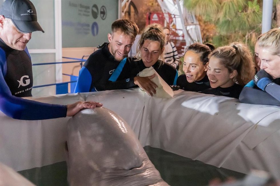Cuidadores del Oceanogrfic