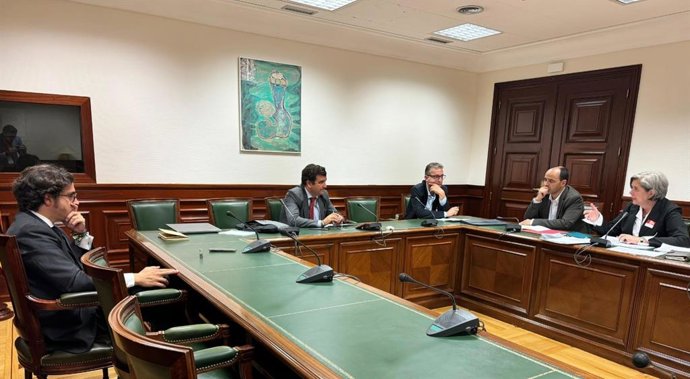 Reunión en el Congreso entre el Grupo Parlamentario Vox, el Grupo Español de Materia Primas Estratégicas /Críticas y la empresa Quantum Minería.