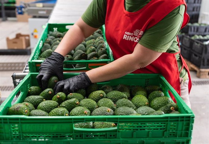 Archivo - Mercadona aumenta la compra de fruta y verdura a proveedores canarios hasta los 109,3 millones de euros