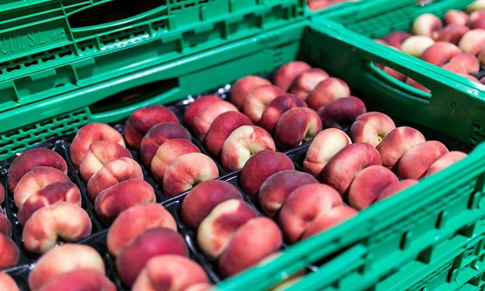 Paraguayos de proveedores extremeños en Mercadona