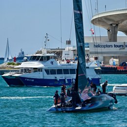 Una golondrina y una embarcación de un equipo de la Copa América de Vela en Barcelona.