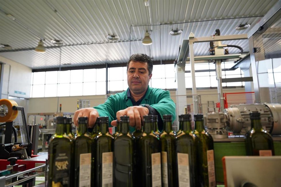 Oleocampo comercializa cinco millones de kilos de aceite por campaña