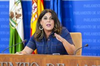 PSOE-A apremia a "toda la Junta junta" a ponerse "a gestionar" y a dejarse "de milongas y de confrontar con el Gobierno"