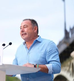 El presidente del Partido Popular (PP) de Sevilla, Ricardo Sánchez.