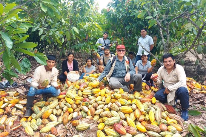 Con el apoyo del Midagri, productores del VRAEM exportan cacao orgánico a Europa.