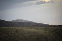 Andalucía constata más hectáreas quemadas en incendios forestales este año respecto a 2023 pero dentro de "lo normal"