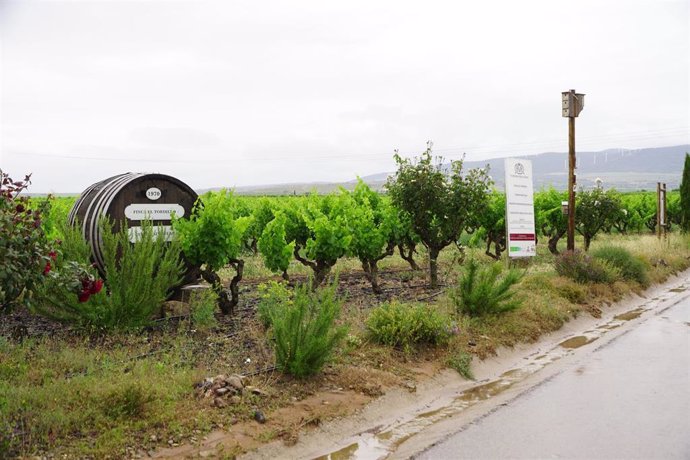 La Finca 'El Tordillo', en Aldeanueva, ha sido una de las primeras en implantar el proyecto Dionisio de Bayer que demuestra la compatibilidad entre productividad agrícola y conservación de la naturaleza