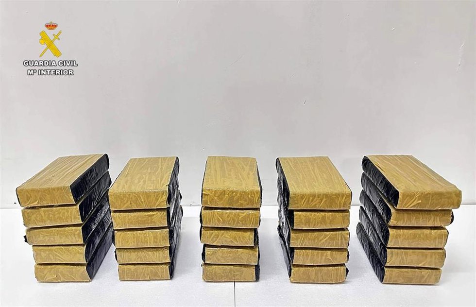 Intervenidos en el Puerto de Barcelona 25 kilos de cocaína en un contenedor de pescado congelado procedente de Perú
