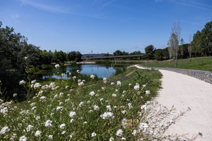 L'estany de la Guinardera de Sant Cugat (Barcelona)