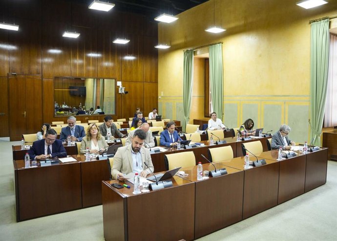 Diputados de la comisión de Presidencia del Parlamento andaluz.