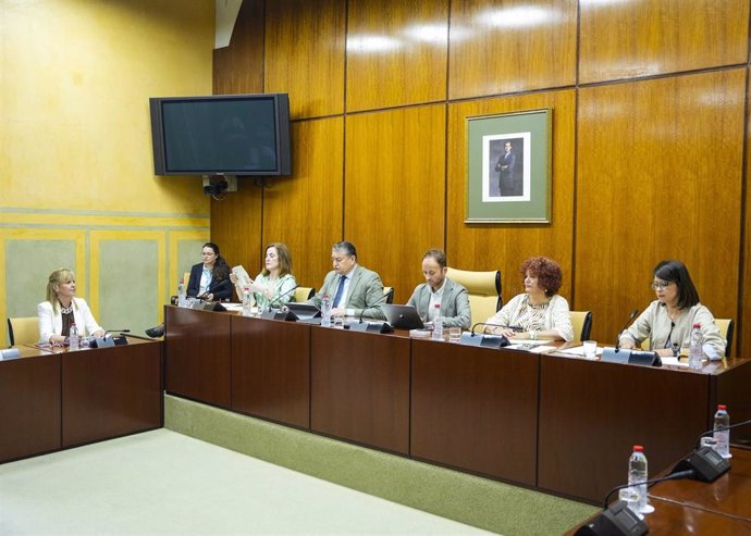 El consejero de la Presidencia, Antonio Sanz, este jueves durante su comparecencia en comisión.