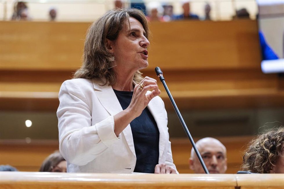 La vicepresidenta tercera y ministra para la Transición Ecológica y el Reto Demográfico, Teresa Ribera, durante una sesión de control al Gobierno, en el Senado, a 18 de junio de 2024, en Madrid (España). 