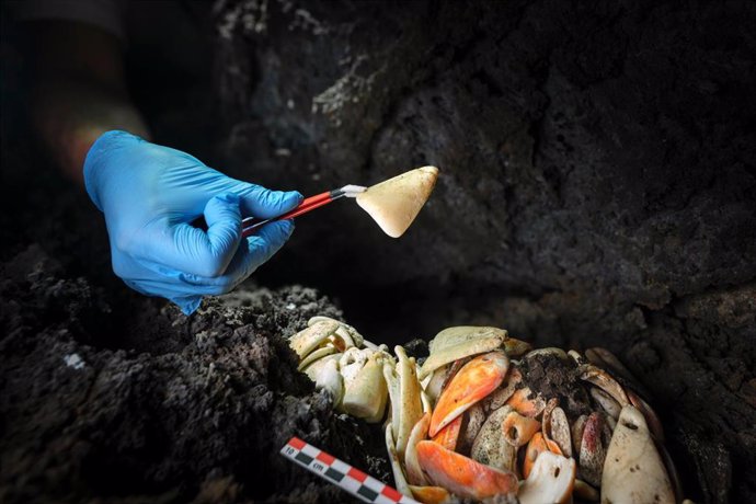 Imagen de una de las piezas encontradas en el interior de un tubo volcánico en el municipio de Villa de Mazo, en la isla de La Palma, y que están datadas entre los siglos XII y XIII