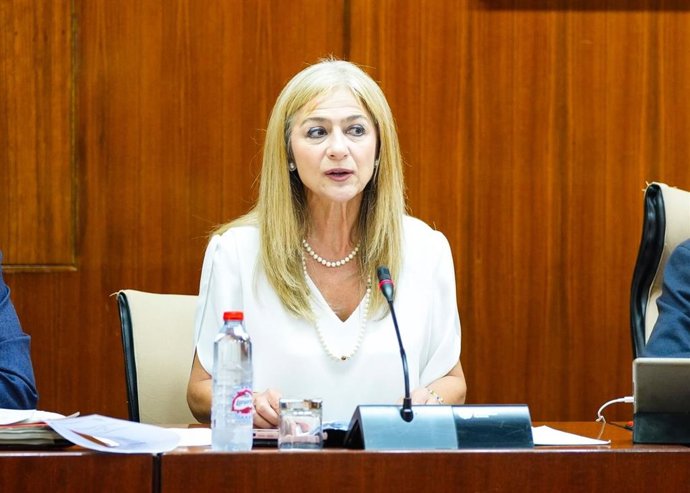 La consejera de Desarrollo Educativo y Formación Profesional, Patricia del Pozo, en la comisión parlamentaria del 20 de junio de 2024.